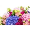 Bouquet of Hydrangeas and Spray Roses